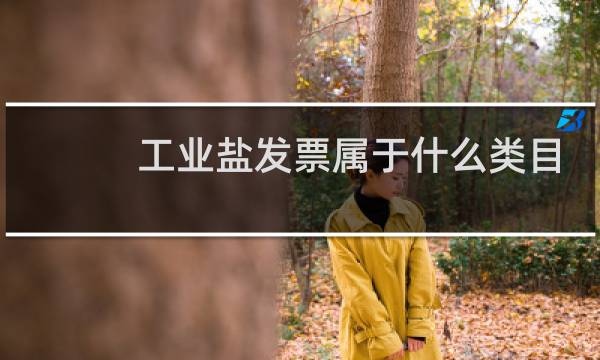 工业盐发票属于什么类目图片