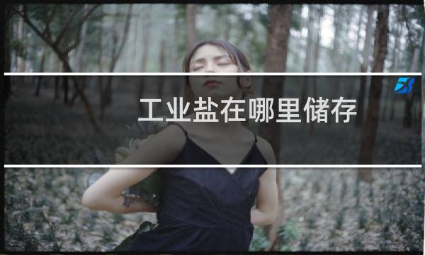 工业盐在哪里储存图片
