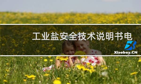 工业盐安全技术说明书电子版图片