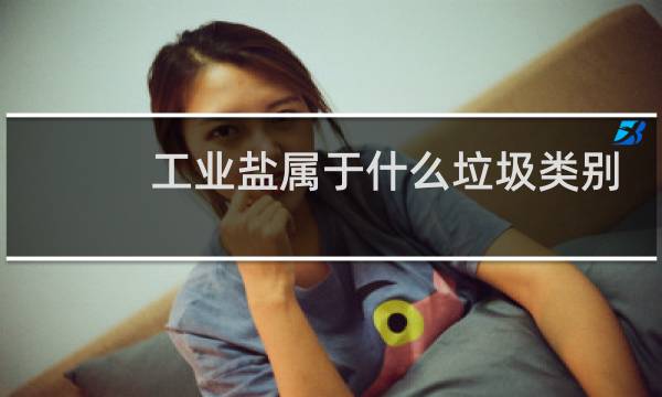 工业盐属于什么垃圾类别图片