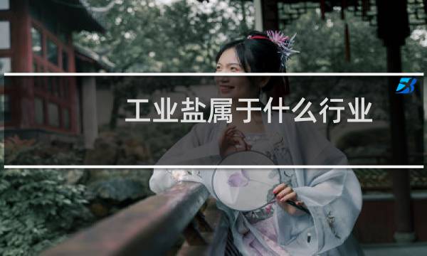 工业盐属于什么行业图片