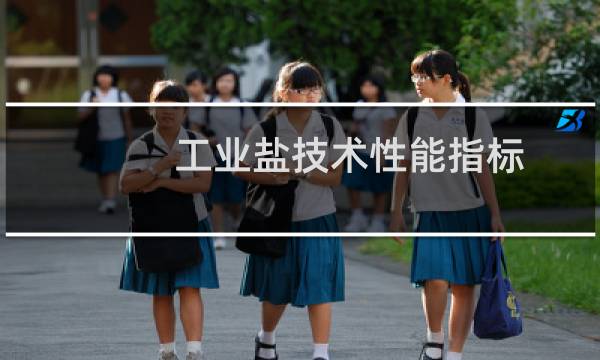 工业盐技术性能指标图片