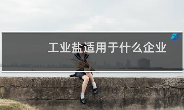 工业盐适用于什么企业图片