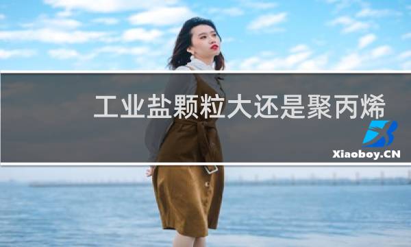 工业盐颗粒大还是聚丙烯酰胺颗粒大图片