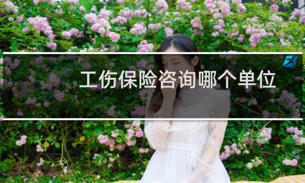 工伤保险咨询哪个单位