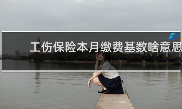 工伤保险本月缴费基数啥意思图片