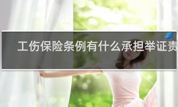 工伤保险条例有什么承担举证责任