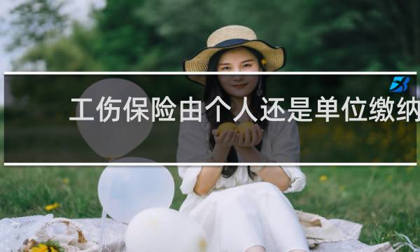工伤保险由个人还是单位缴纳