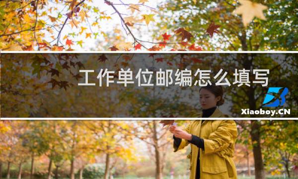 工作单位邮编怎么填写