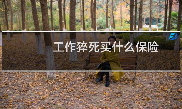 工作猝死买什么保险