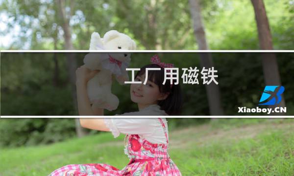 工厂用磁铁