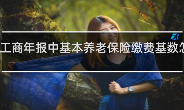 工商年报中基本养老保险缴费基数怎么填