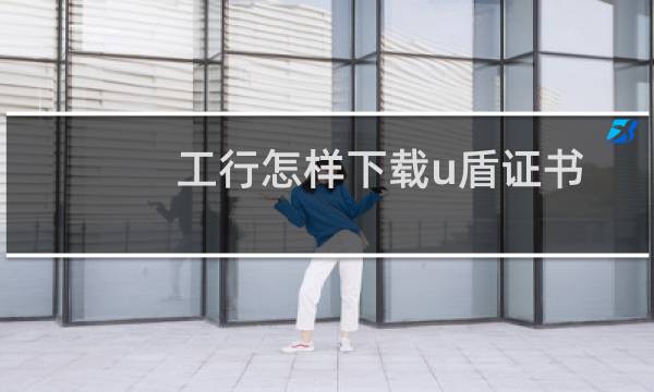 工行怎样下载u盾证书（工行U盾数字证书怎么下载）
