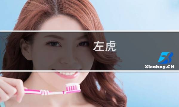 左虎 knight为什么叫左虎什么梗