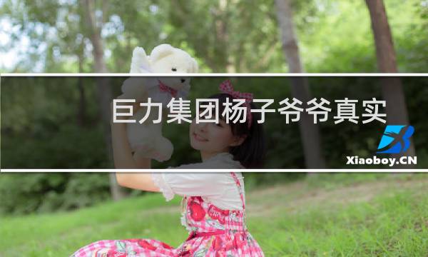 巨力集团杨子爷爷真实身份（巨力集团杨子的父亲和爷爷是谁）