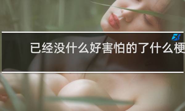 已经没什么好害怕的了什么梗？已经没什么好害怕的了是什么意思什么梗