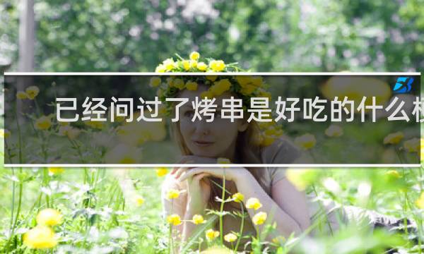 已经问过了烤串是好吃的什么梗