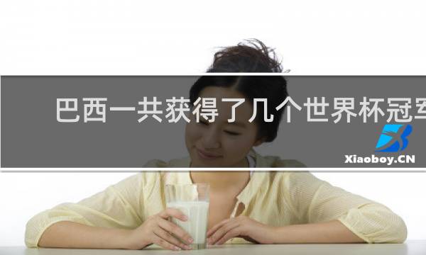 巴西一共获得了几个世界杯冠军