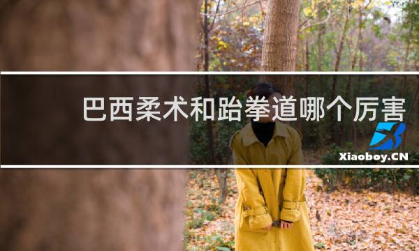 巴西柔术和跆拳道哪个厉害