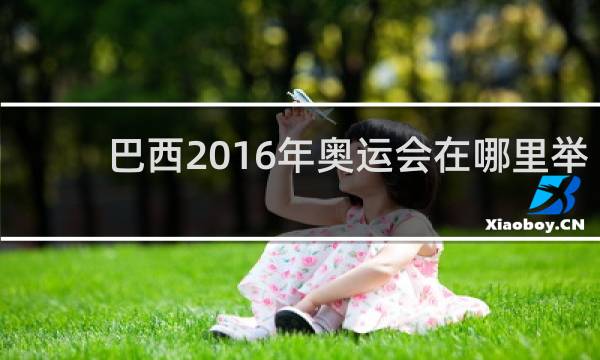 巴西2016年奥运会在哪里举行