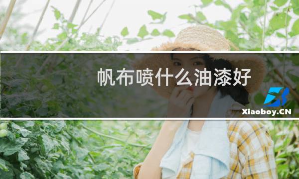 帆布喷什么油漆好
