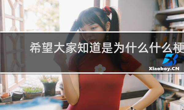 希望大家知道是为什么什么梗