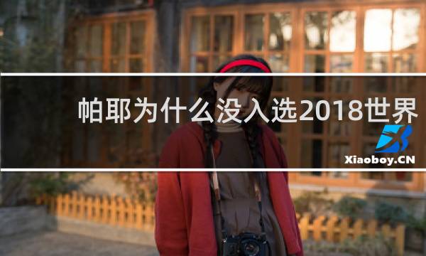 帕耶为什么没入选2018世界杯
