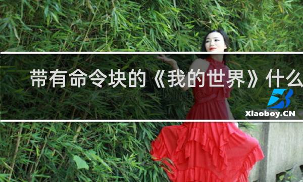 带有命令块的《我的世界》什么梗