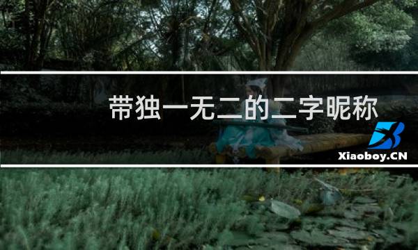 带独一无二的二字昵称（好听的两个字的昵称）