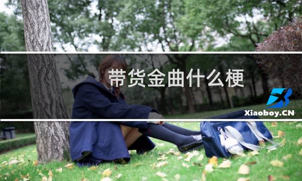 带货金曲什么梗