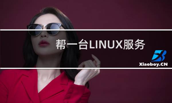 帮一台LINUX服务器系统盘不要分这么大。