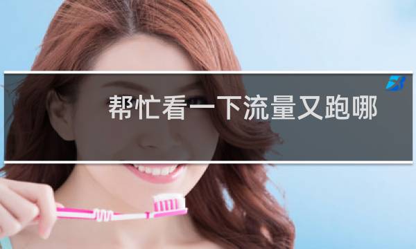 帮忙看一下流量又跑哪去了?