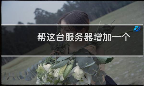 帮这台服务器增加一个独立IP