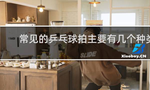 常见的乒乓球拍主要有几个种类
