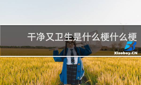干净又卫生是什么梗什么梗