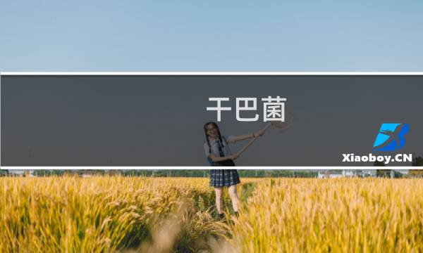 干巴菌（楚雄市特产）