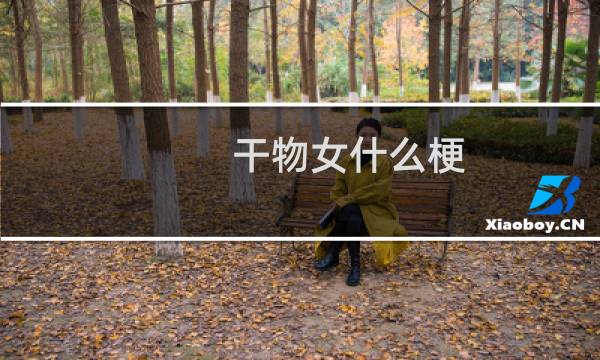 干物女什么梗