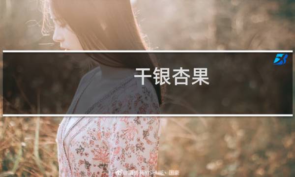 干银杏果
