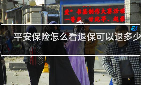 平安保险怎么看退保可以退多少钱