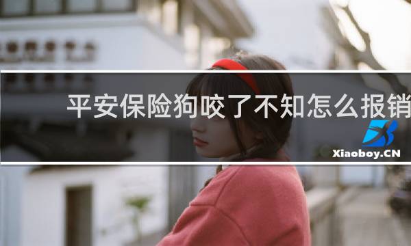 平安保险狗咬了不知怎么报销