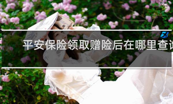 平安保险领取赠险后在哪里查询