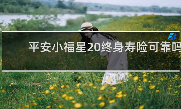 平安小福星20终身寿险可靠吗