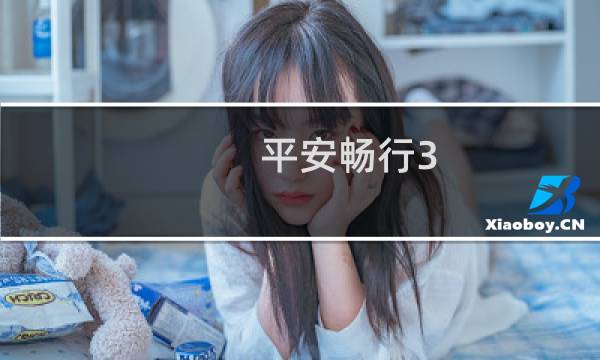 平安畅行3.0(客车)是什么保险