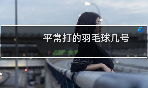 平常打的羽毛球几号