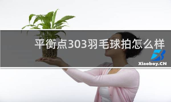 平衡点303羽毛球拍怎么样