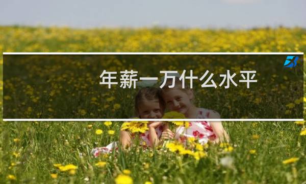 年薪一万什么水平