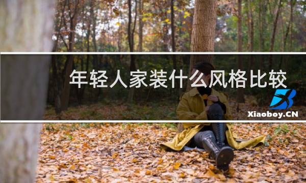 年轻人家装什么风格比较好图片