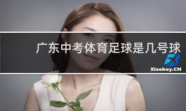 广东中考体育足球是几号球