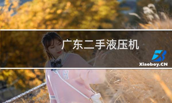 广东二手液压机