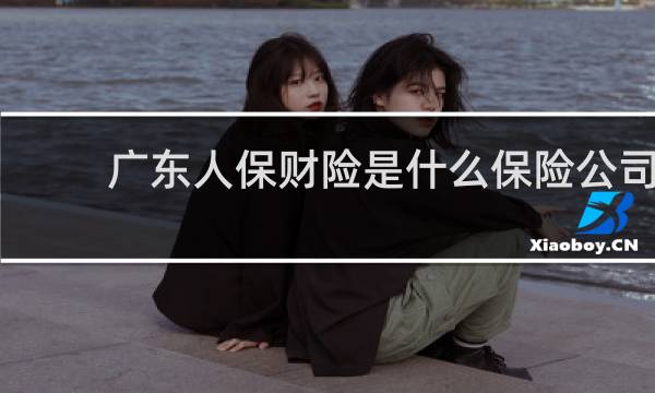 广东人保财险是什么保险公司